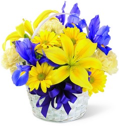 Spirit of Spring Basket<b> from Flowers All Over.com 
